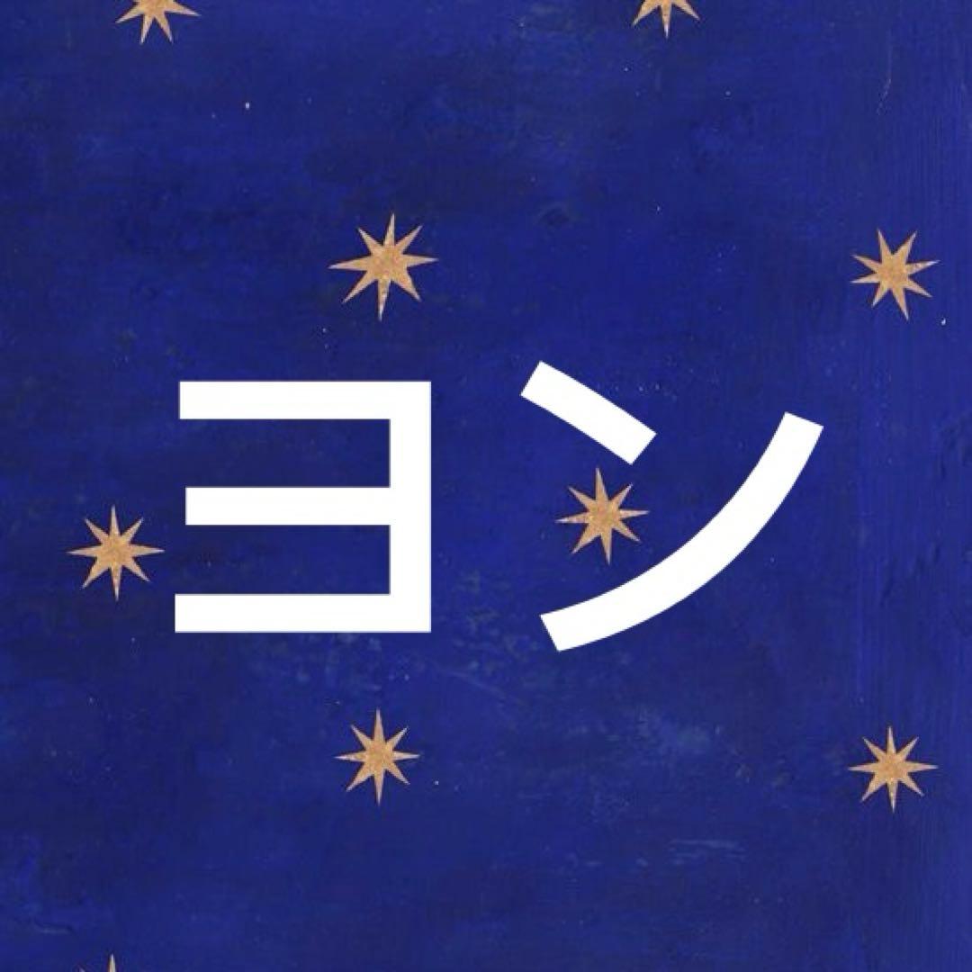 ヨン　ライトグレーS Gaios 13