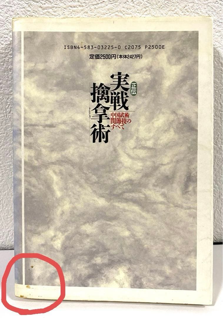 正伝実戦擒拿術 中国武術関節技のすべて 佐藤金兵衛 初版本 - メルカリ