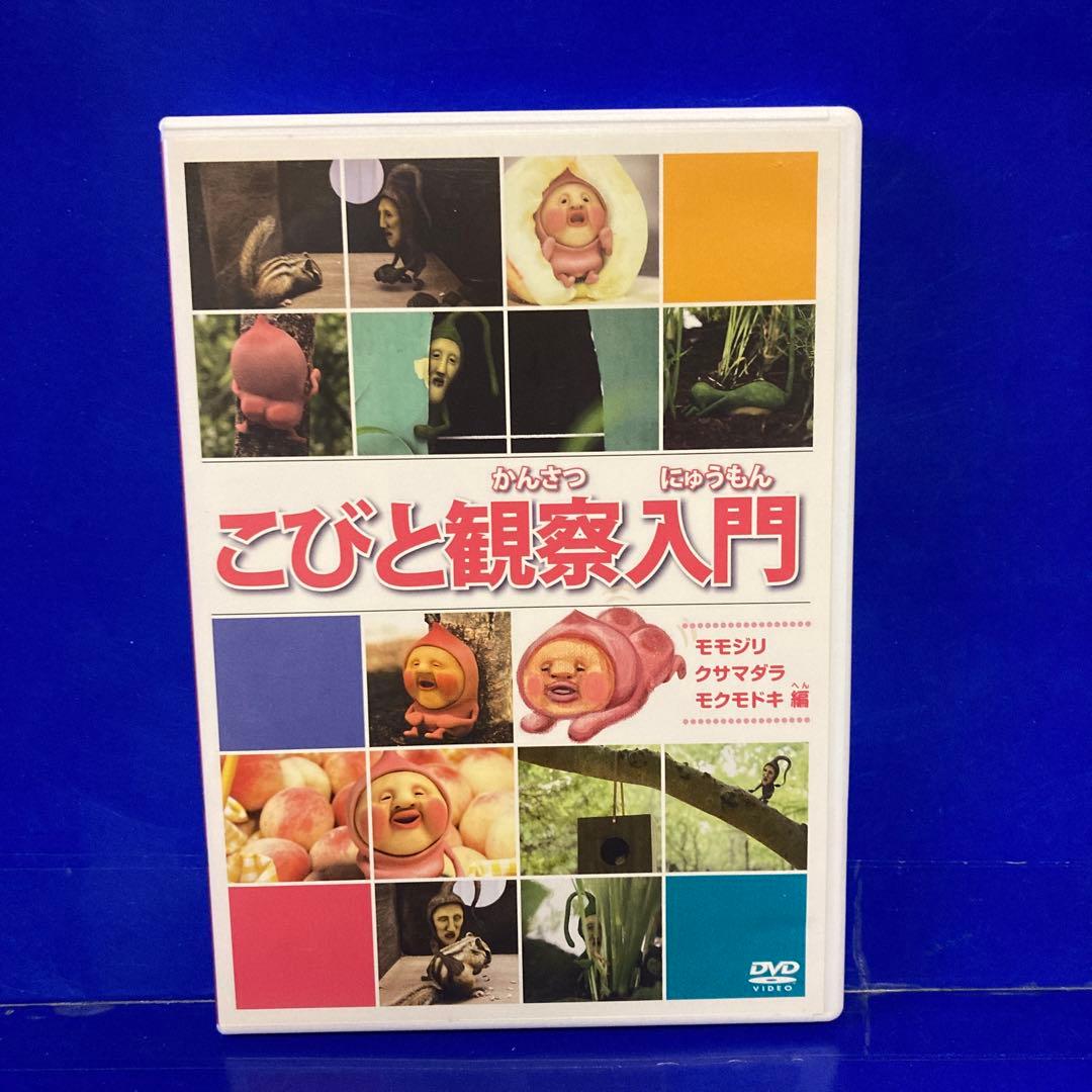 こびとづかん DVDこびと観察入門 DVD 2枚セット セル販売品 - メルカリ