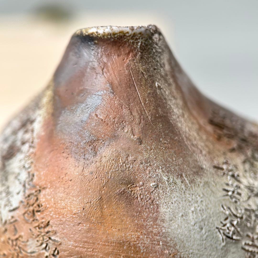 石田安弘 備前焼梅宝瓶 般若心经 人気作者 急須 共箱 共布 茶注 煎茶