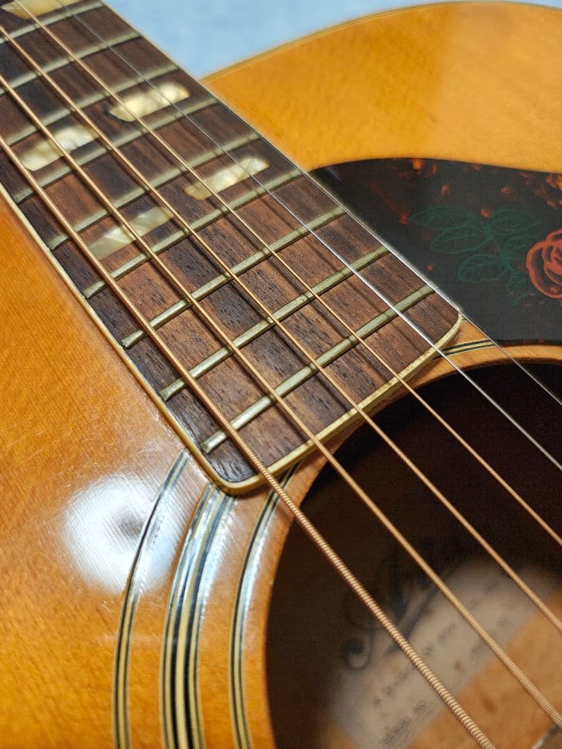 AriaハミングバードWD-33/ハードケース