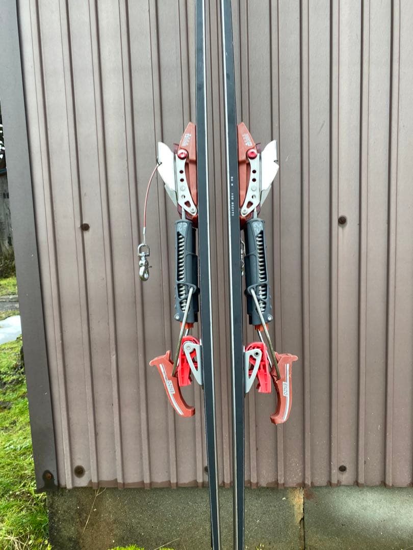 Vector glide ベクターグライド bold - メルカリ