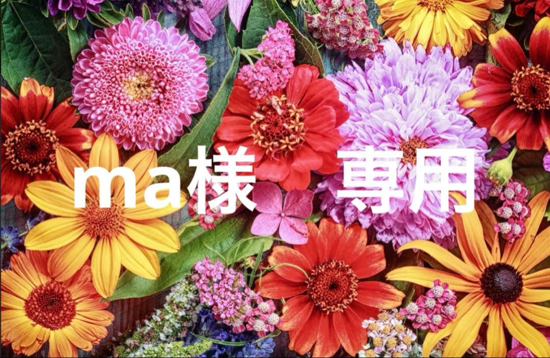 ma 2001 Kawasaki ZX-11 | Bike-urious