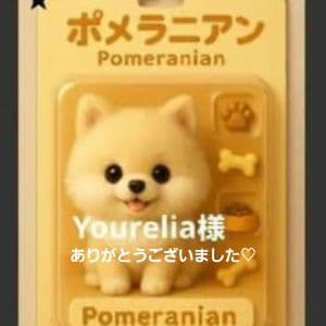 Yourelia様確認用 オーストラリア セカンドワーホリビザを自分で申請する方法 - kaniyukablog