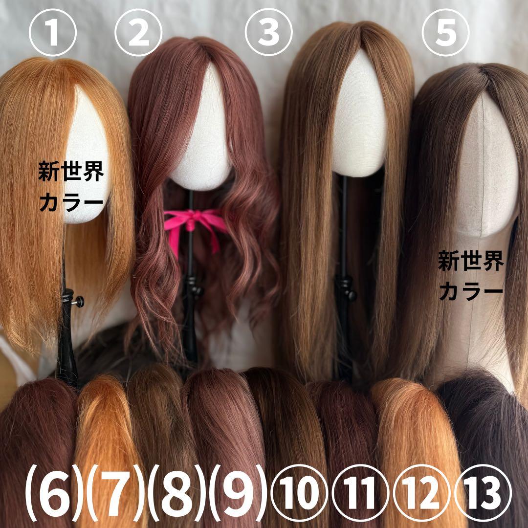 真2026新世界 人毛100%ウィッグ シルクスキン 医療ウィッグ フル