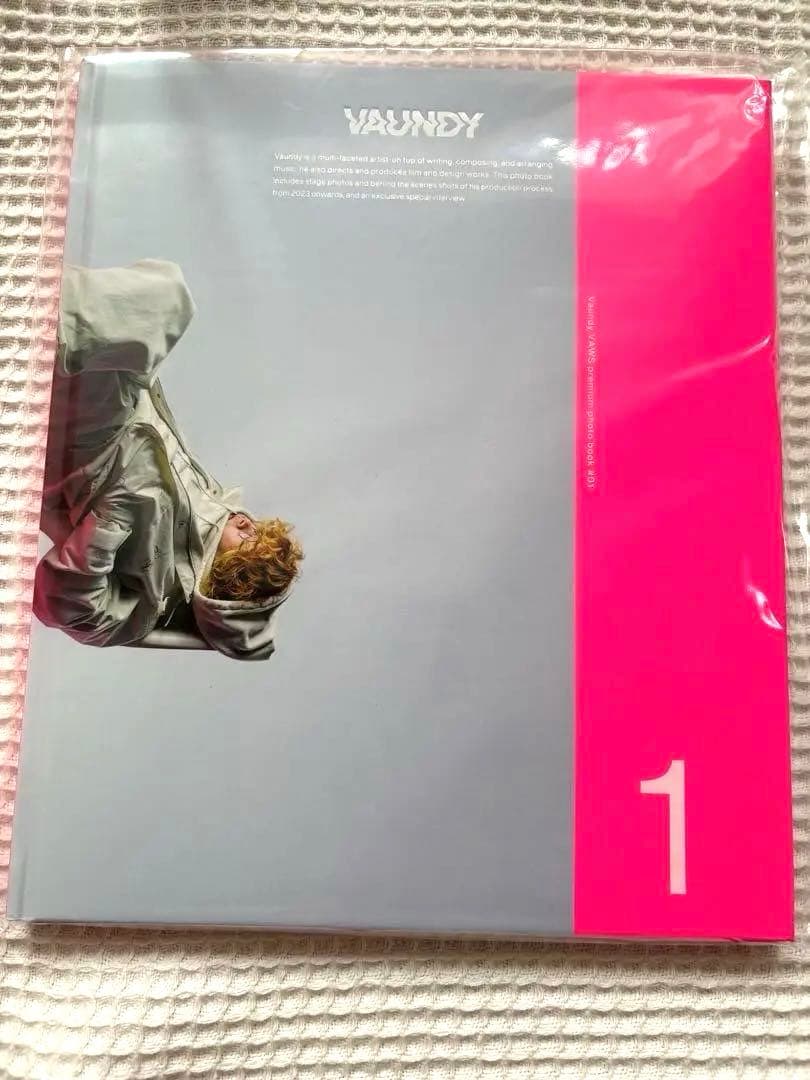 Vaundy バウンディ フォトブック Premium限定 ファンクラブ - メルカリ