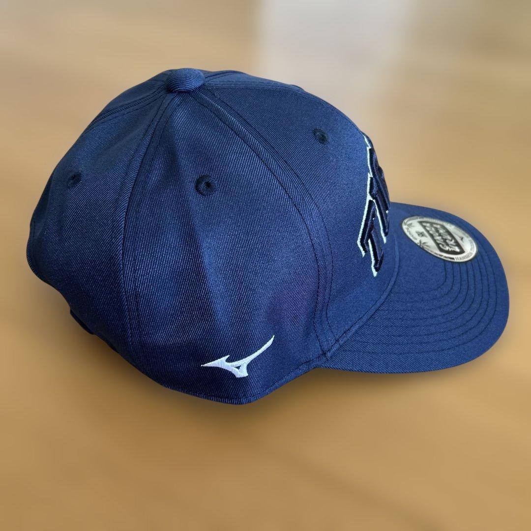 新品‼️未使用‼️限定‼️阪神タイガース2026スプリングキャンプ