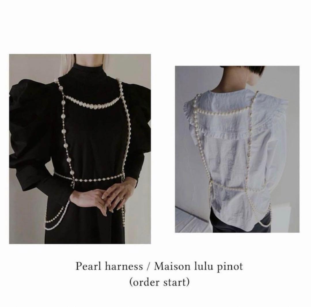 litmus パールハーネス 値下げ相談可 - メルカリ