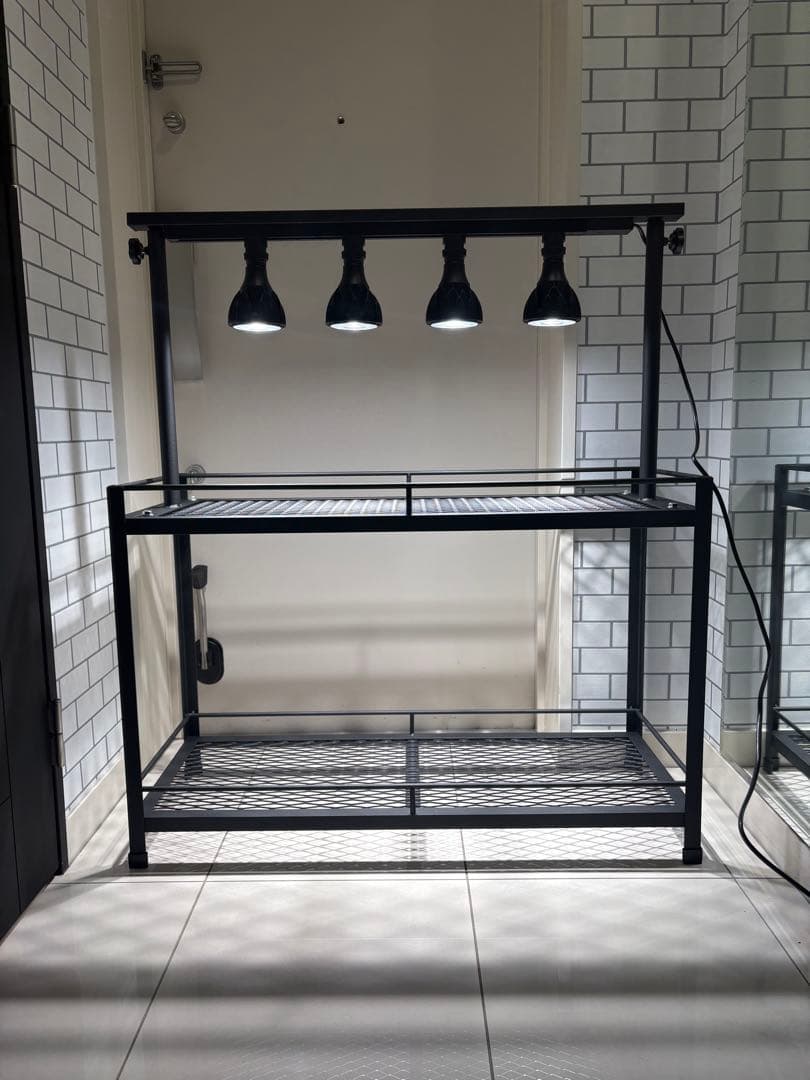 植物棚 アイアン棚 伸縮ライトレール パキプス アイアンシェルフ