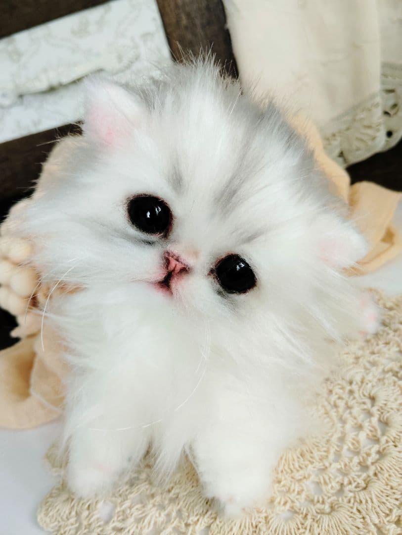 チンチラシルバー♡子猫のくるみちゃん♡アートドール♡ぬいぐるみ