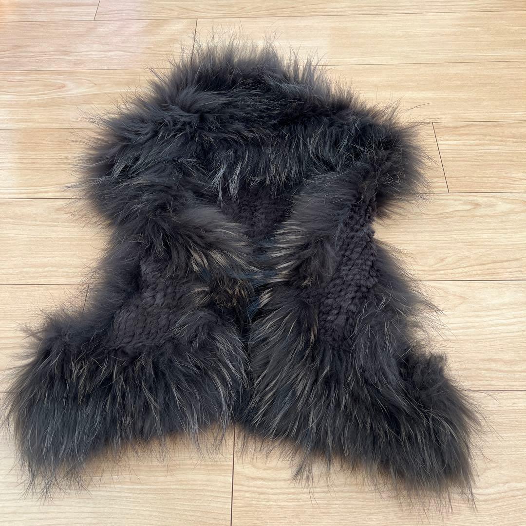 Diagram タヌキ(チャイニーズラクーン)ラビット リアルファーベスト