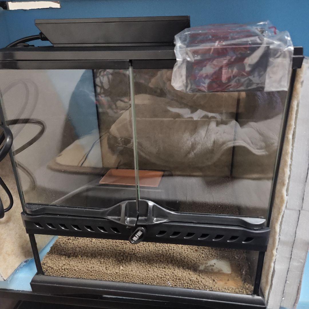 グラステラリウム3030と色々 グラステラリウム3030 エキゾテラ GEX ガラス飼育ケージ 販売 通販