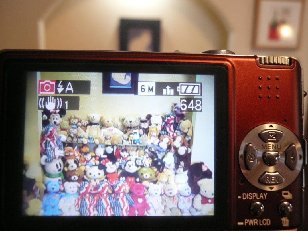 LUMIX☆DMC-FX9⭕️箱入完品⭐️極美品⭕️安心の実働品☆えんじ色