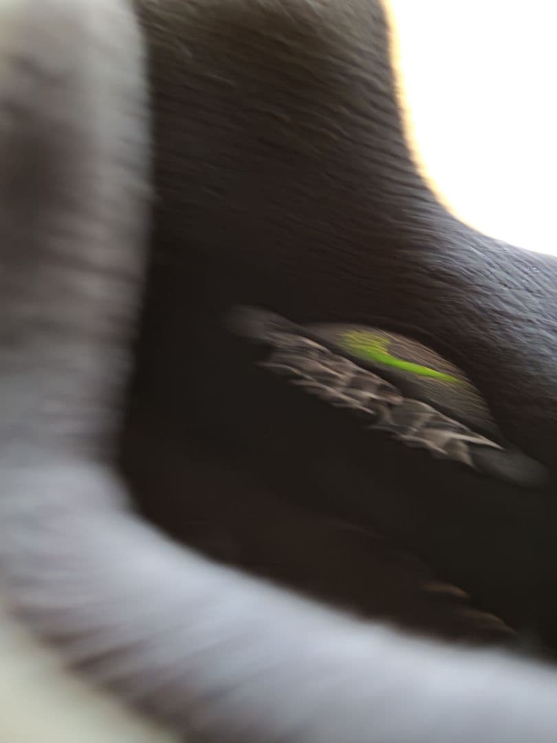 靴 Nike Air Max95 OG Big Bubble \"HRJK\" 28cm