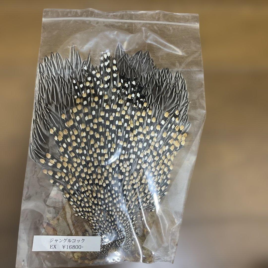 ジャングルコック Ken-Cube ジャングルコック Grade A （No.1）