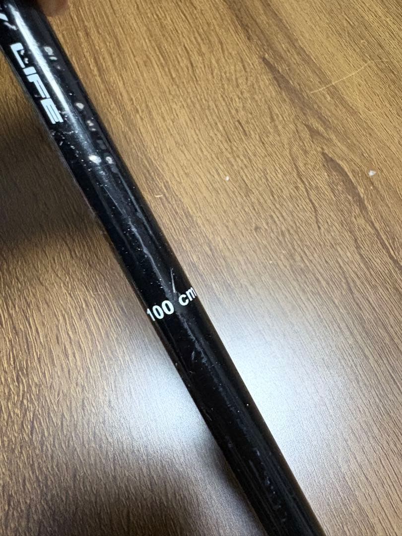 Fischer ツインチップ135 ジュニアフリースタイル - メルカリ