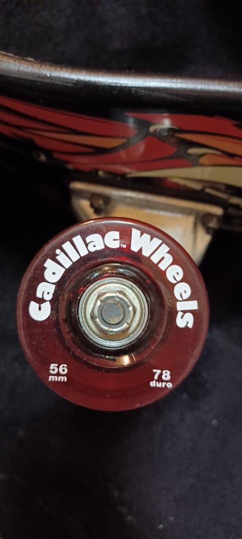 zipper head dogtown スケートボード コンプリートの通販｜thasniri.com