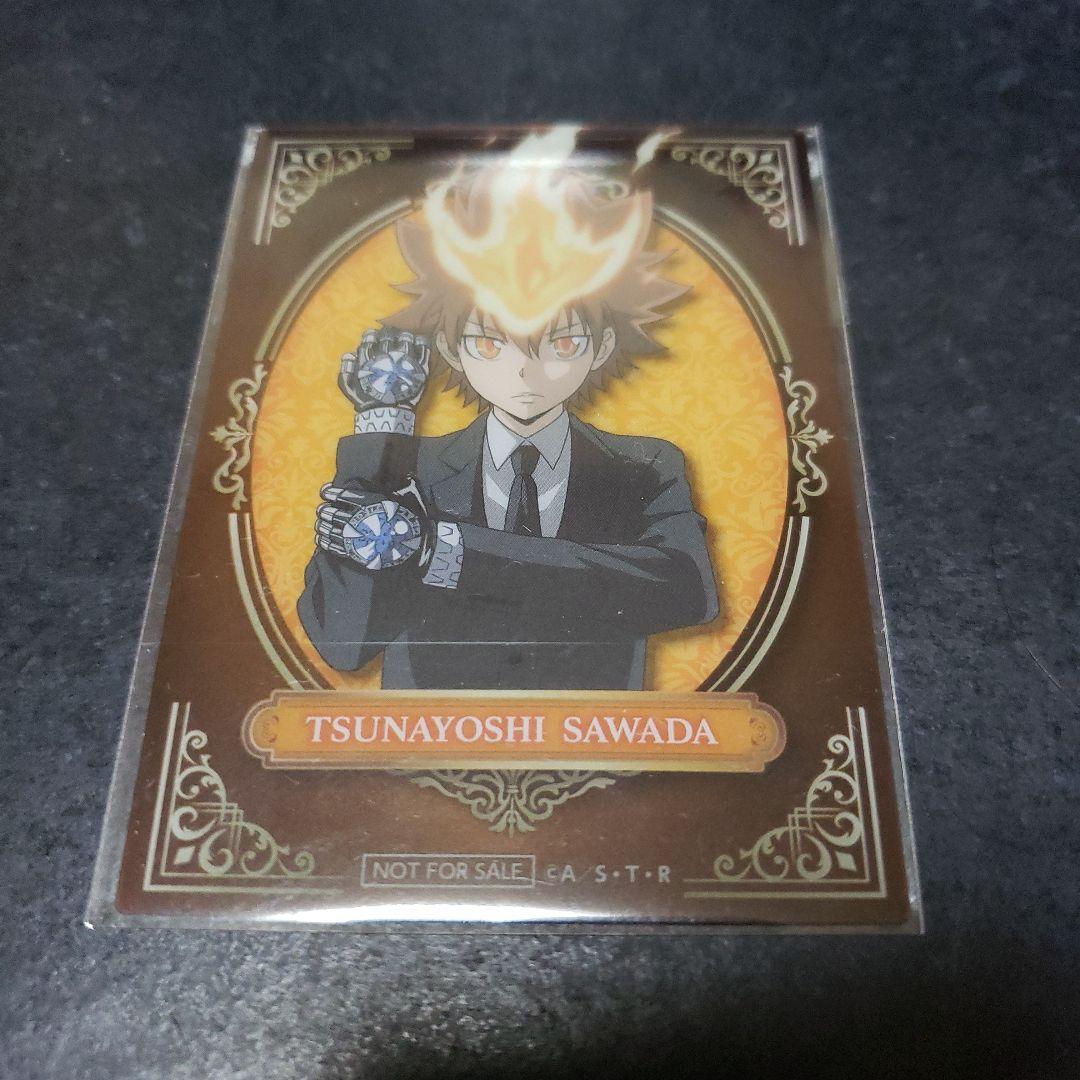 家庭教師ヒットマンREBORN 沢田綱吉 PLAZA クリアカード - メルカリ