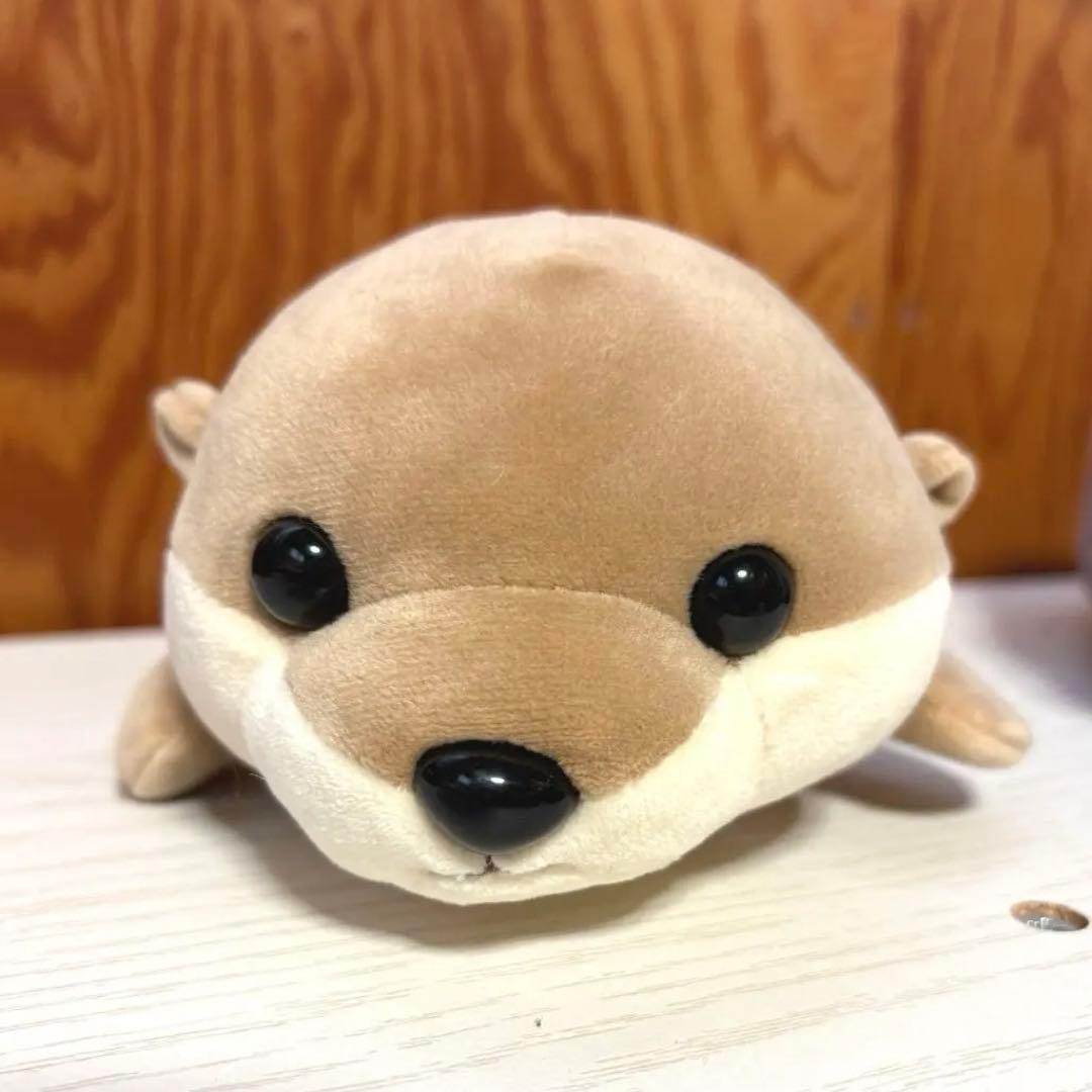 新江ノ島水族館 カワウソ ぬいぐるみ ハッピーマリン - メルカリ