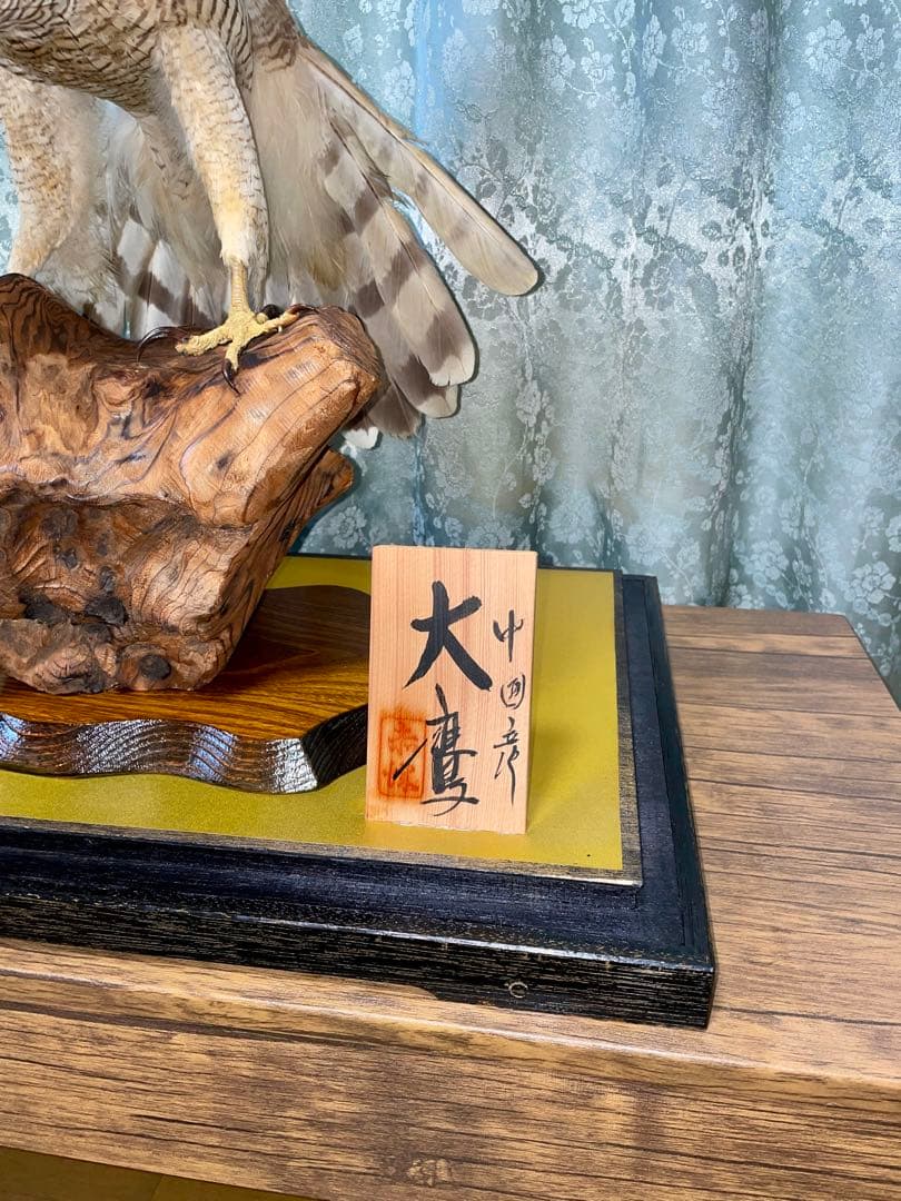 直接取引限定】大鷹 剥製 アンティーク 置物 オブジェ コレクション