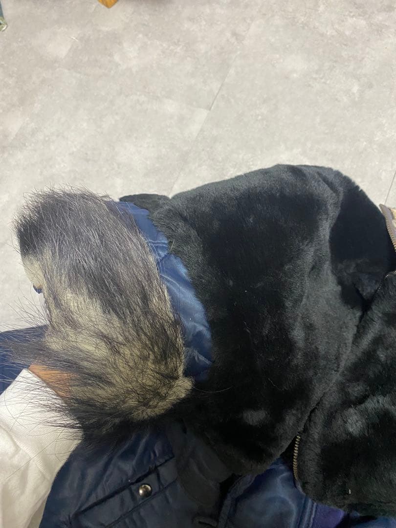 N-2A 50s L 実物　C.H.MASLAND & SONS