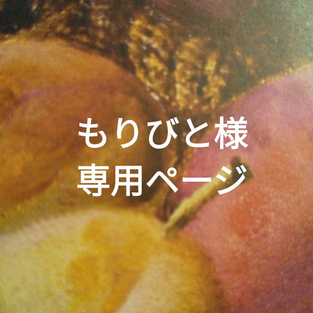 もりびとページ インペリアル・ドロップシップと反乱軍スカウト・スピーダーの戦い