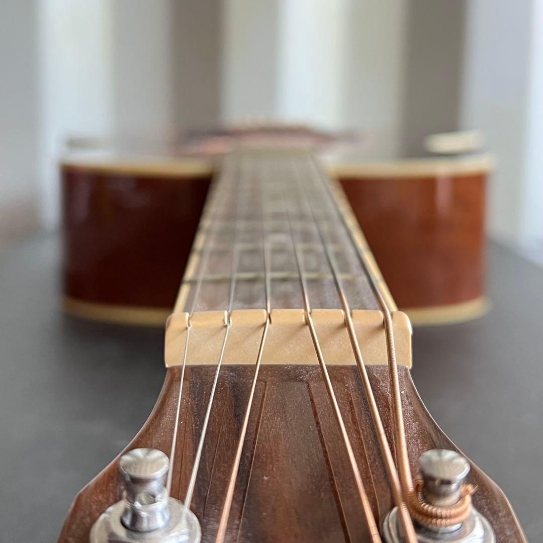 91美品✨ Stafford SF-200F-BS ギター