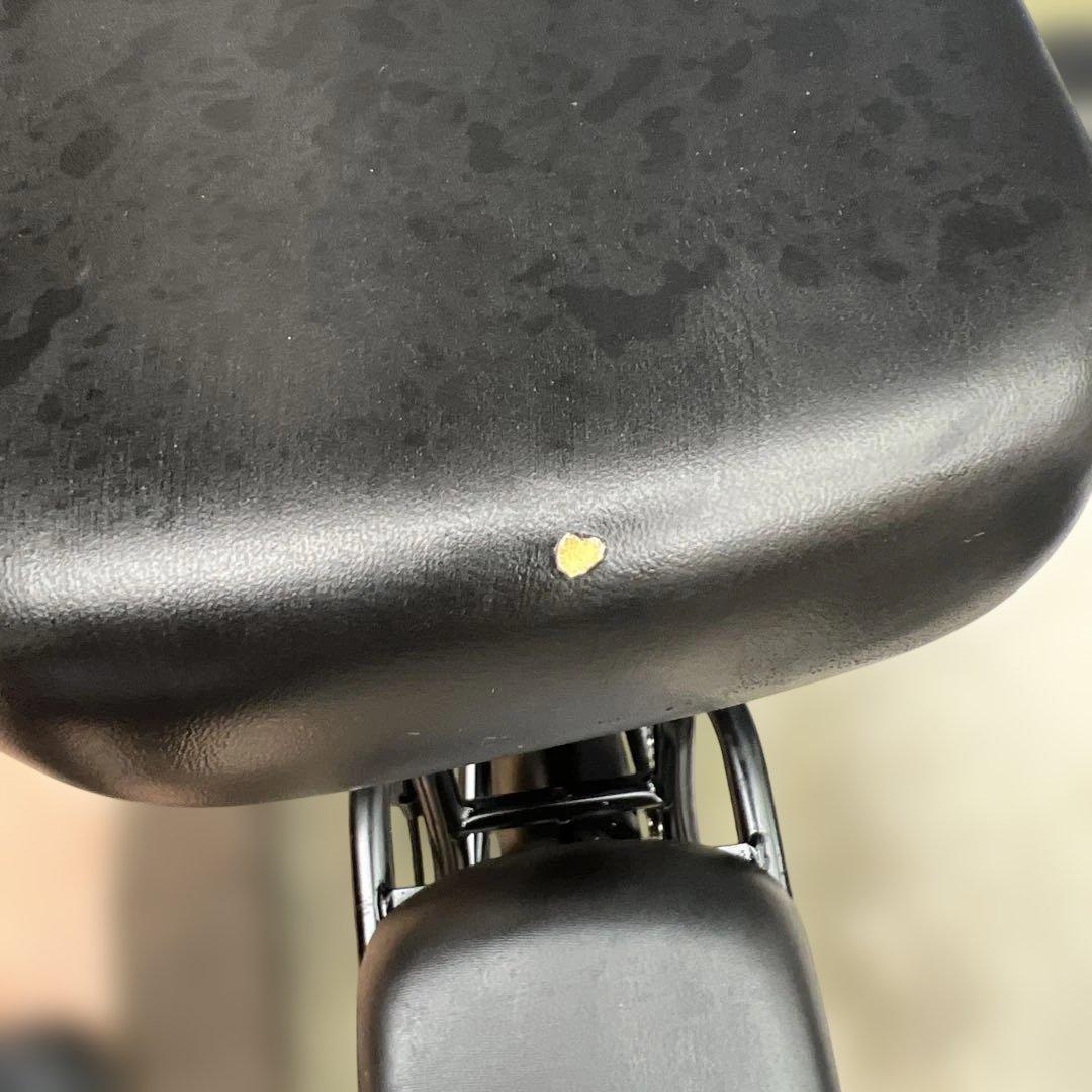 専用 SUNPIE ディスク式 折り畳み 電動自転車 16インチ - メルカリ