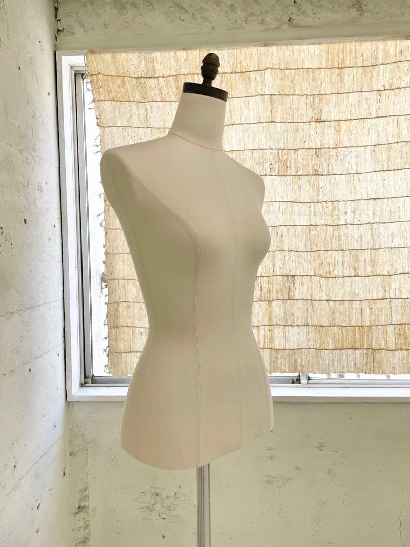 レディーストルソー カツラギ張