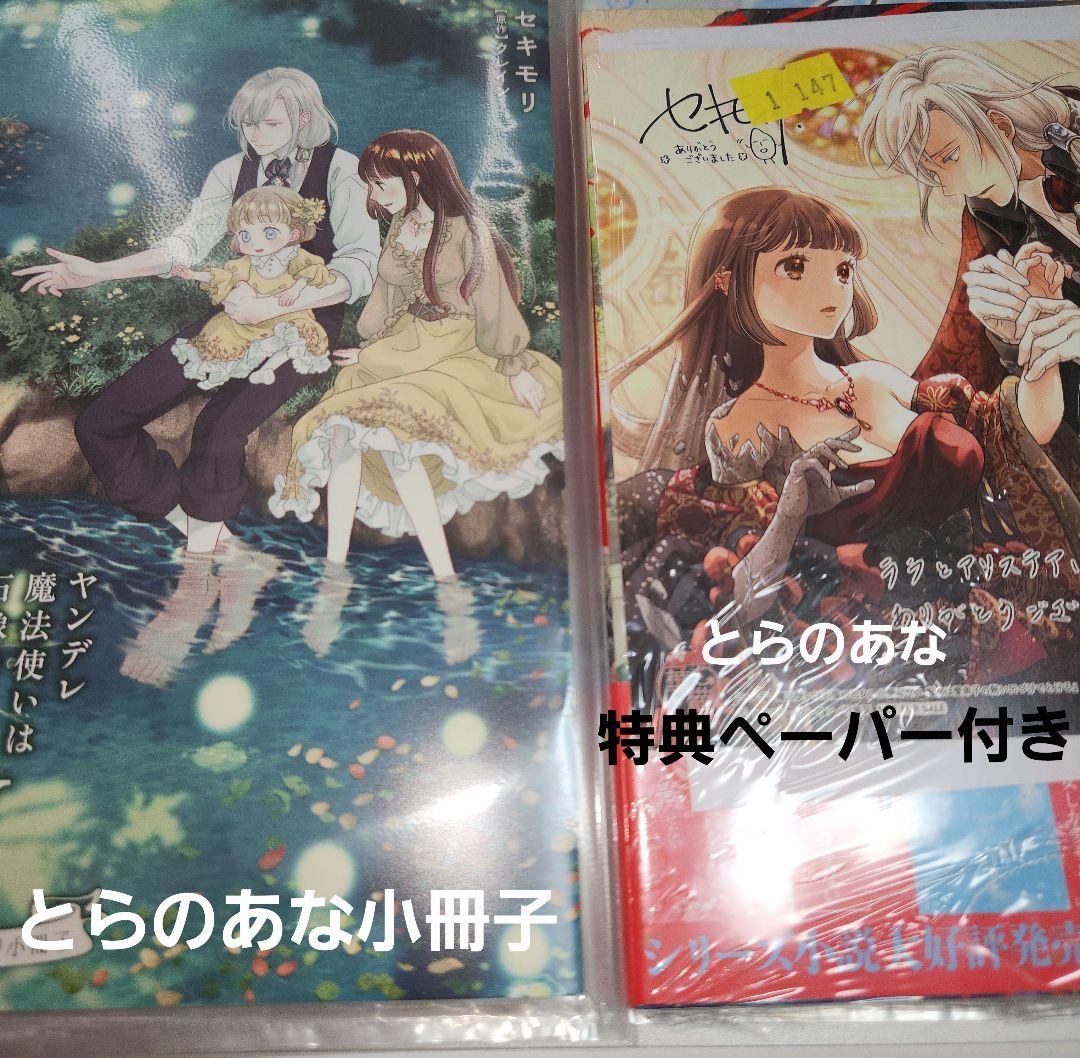 とらのあな特典付き』ヤンデレ魔法使いは石像の乙女しか愛せない5巻