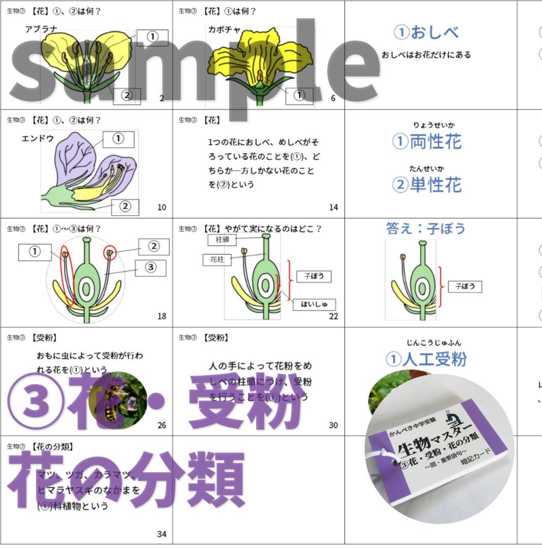 074】生物・化学・地学・物理マスターセット 中学入試理科 テスト対策