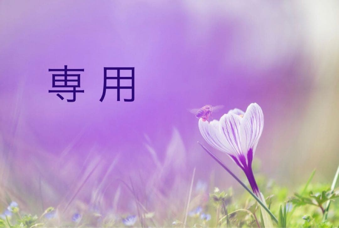 【KazuKazu】 ZX 5K BOOST Kawasaki Adidas NINJA SHOE BRAND NEW IN BOX | eBay