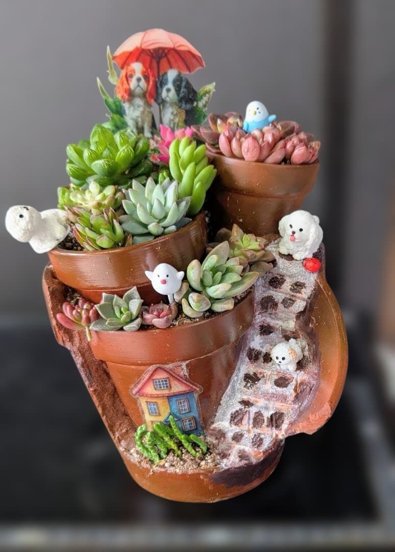 022403多肉植物の寄せ植え☆組鉢作品 - メルカリ