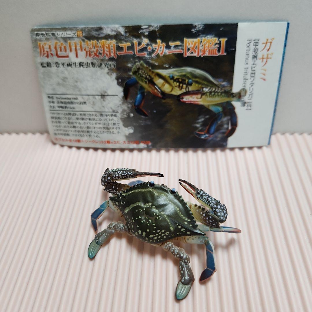 原色甲殻類エビ・カニ図鑑 Ⅰ ガザミ - メルカリ