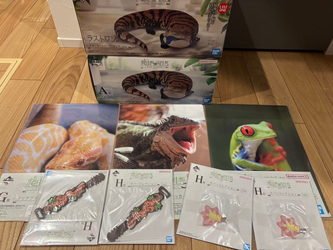 一番くじ 爬虫類＆両生類～Tiny Friends～vol.2 A賞　ラストワン 一番くじ 爬虫類＆両生類～Tiny Friends～vol.2｜一番くじ倶楽部