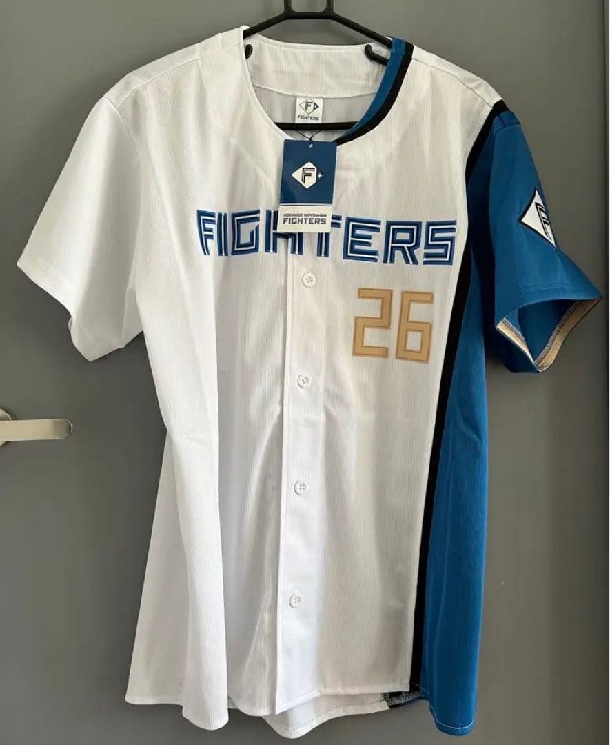 日ハム田中正義 直筆サインユニフォーム 2月のキャンプ サイズL 田中