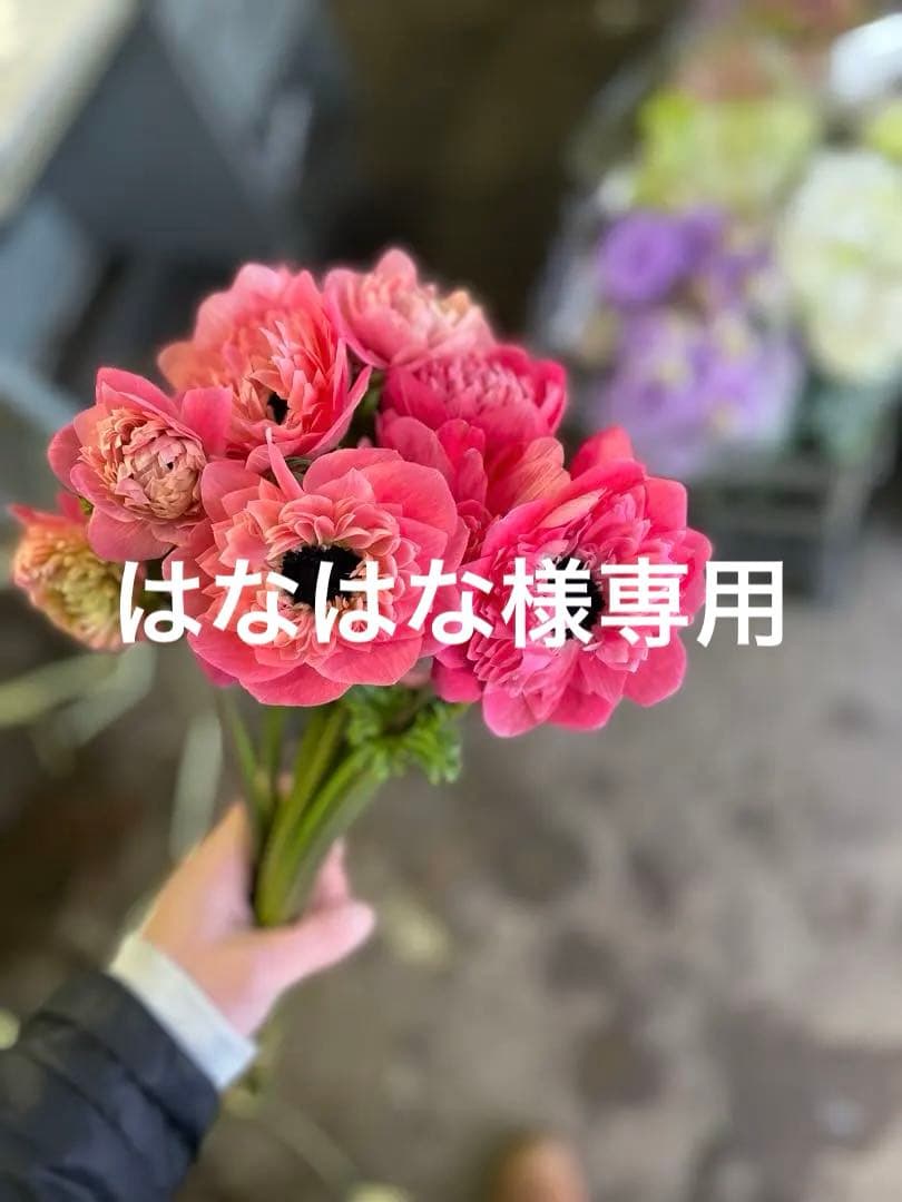はなはな様 リクエスト 2点 まとめ商品 - メルカリ