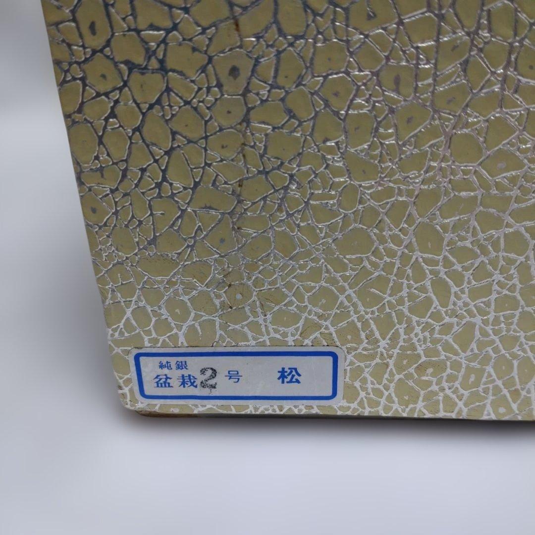 h*中様 純銀製 光則作 盆栽 2号「松」ガラスケース・紙箱付き - メルカリ