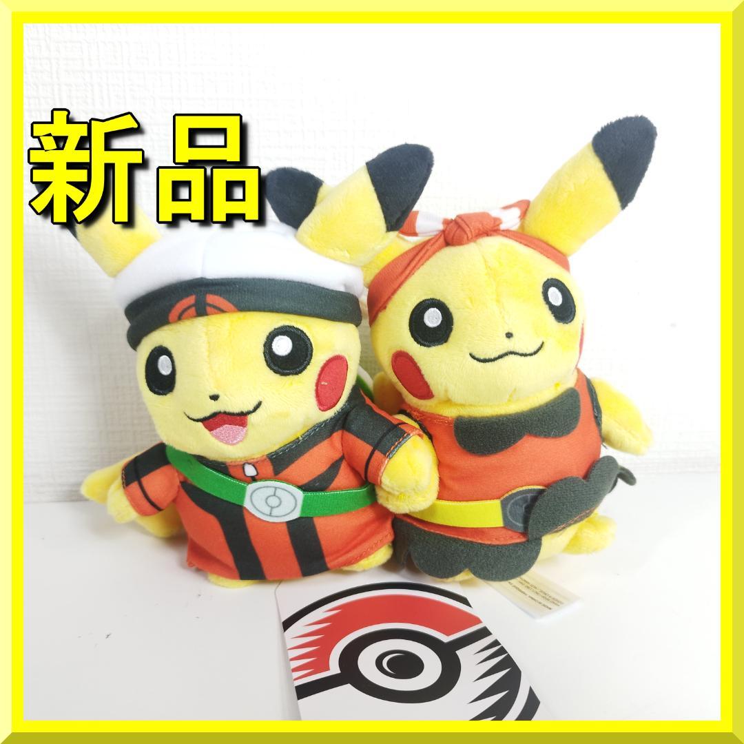 ピカチュウ 25周年 ホウエン地方 ぬいぐるみ Pikachu ポケモ ISS2