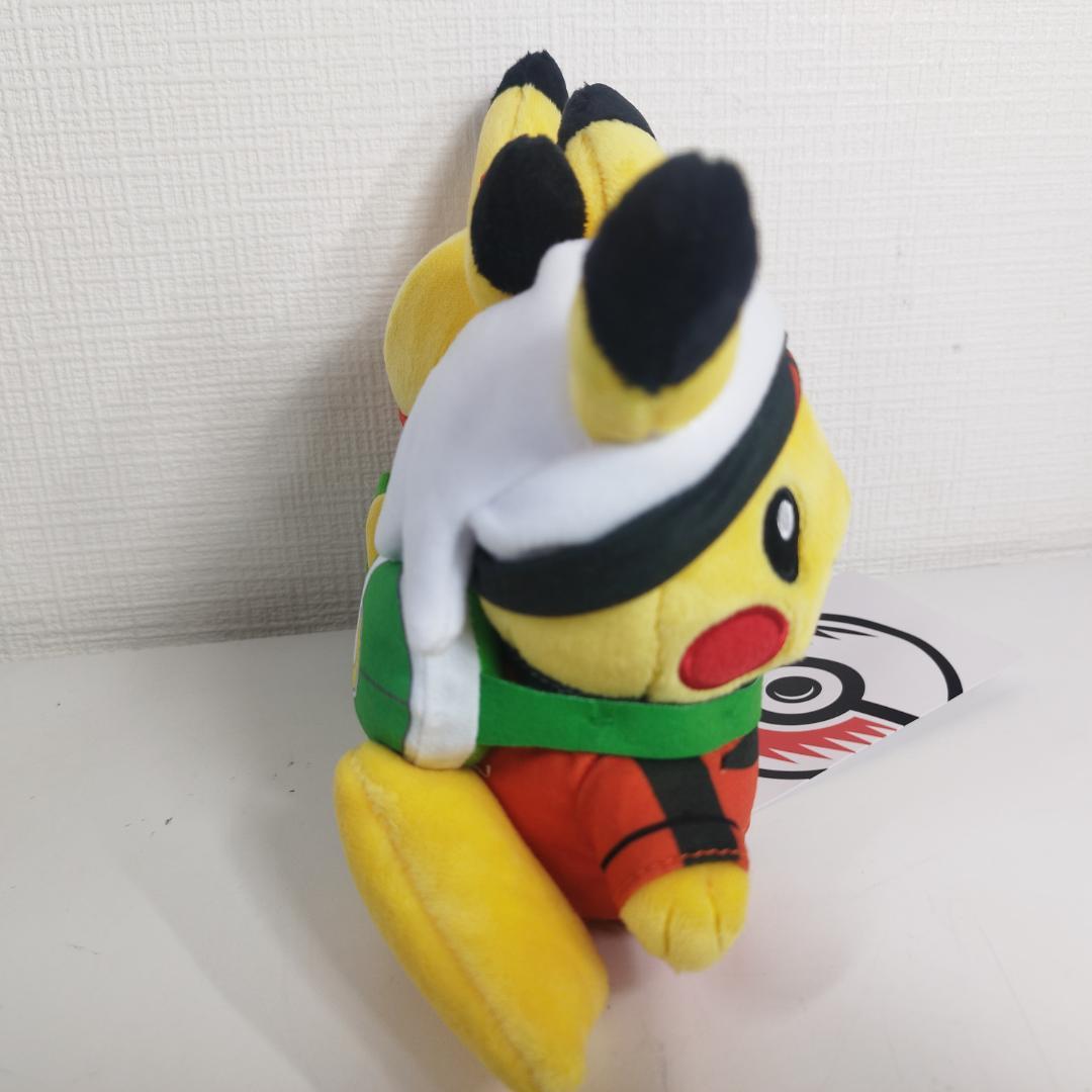 ピカチュウ 25周年 ホウエン地方 ぬいぐるみ Pikachu ポケモ ISS2