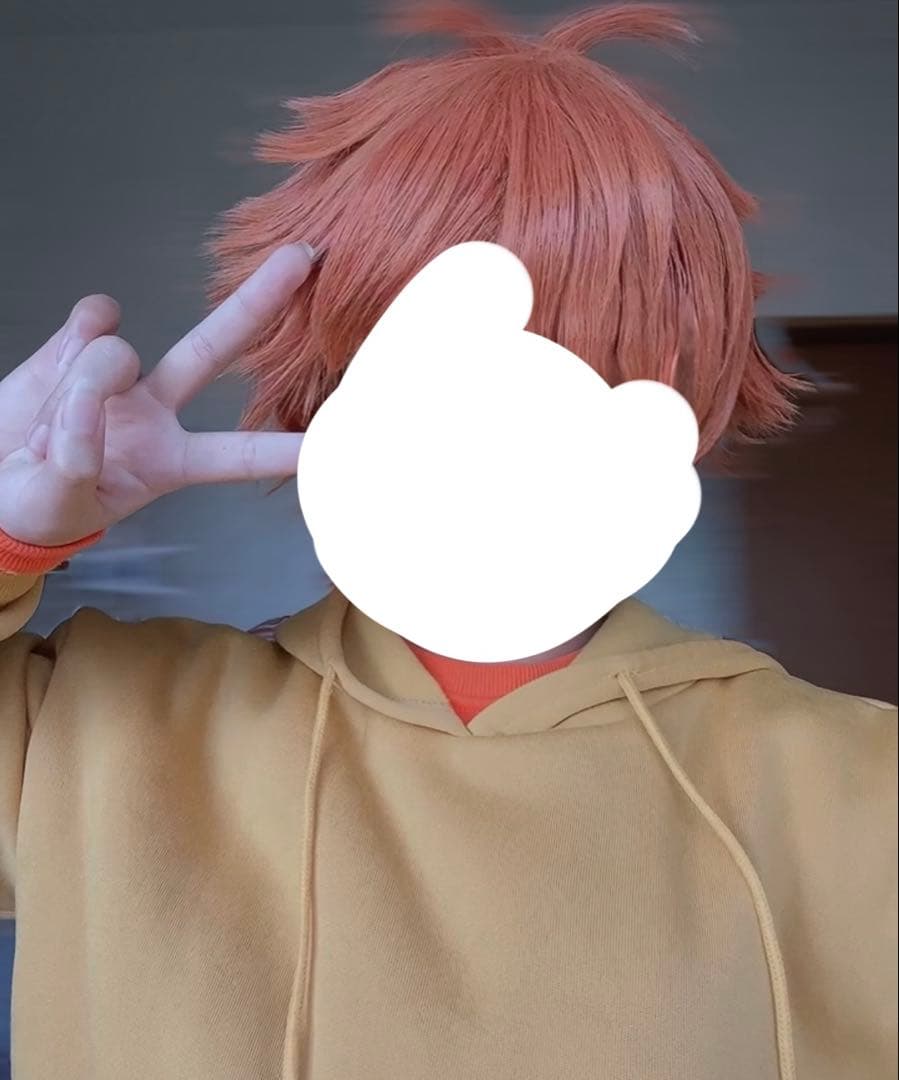 日常組 ぺいんと コスプレ ウィッグ付き 実況者 - メルカリ