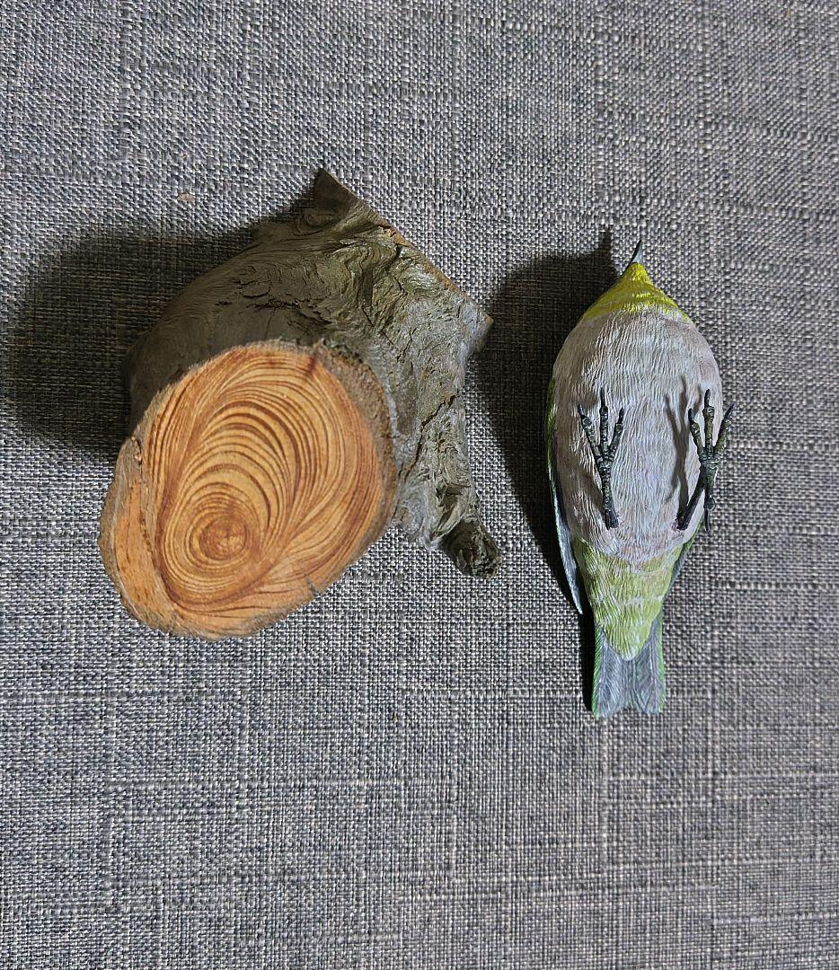 バードカービング　\"メジロ”