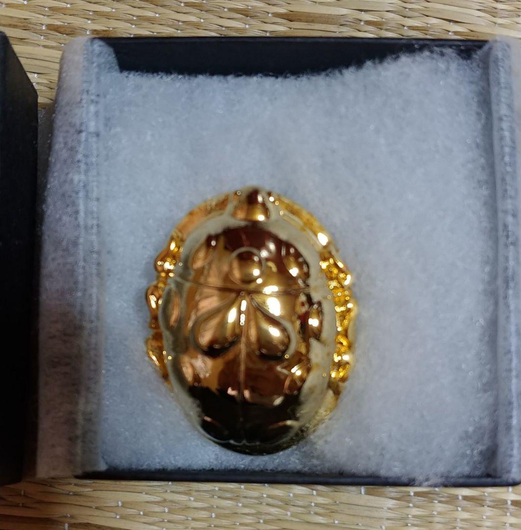 ジョジョの奇妙な冒険 ジョルノジョバァーナ てんとう虫ブローチ