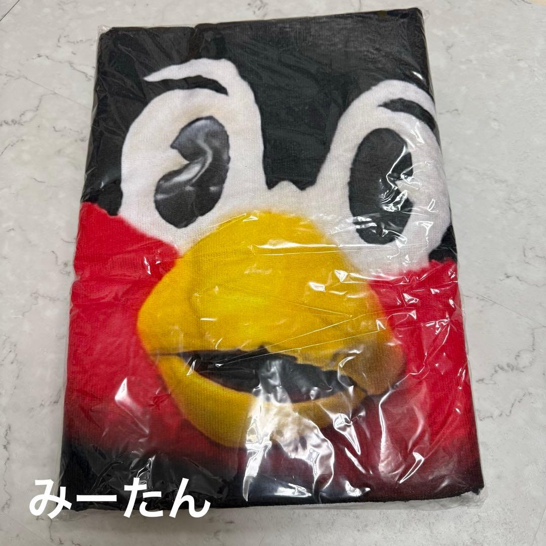 g*a様 つば九郎 ほぼ等身大タオルケット りーぜんとたたせて