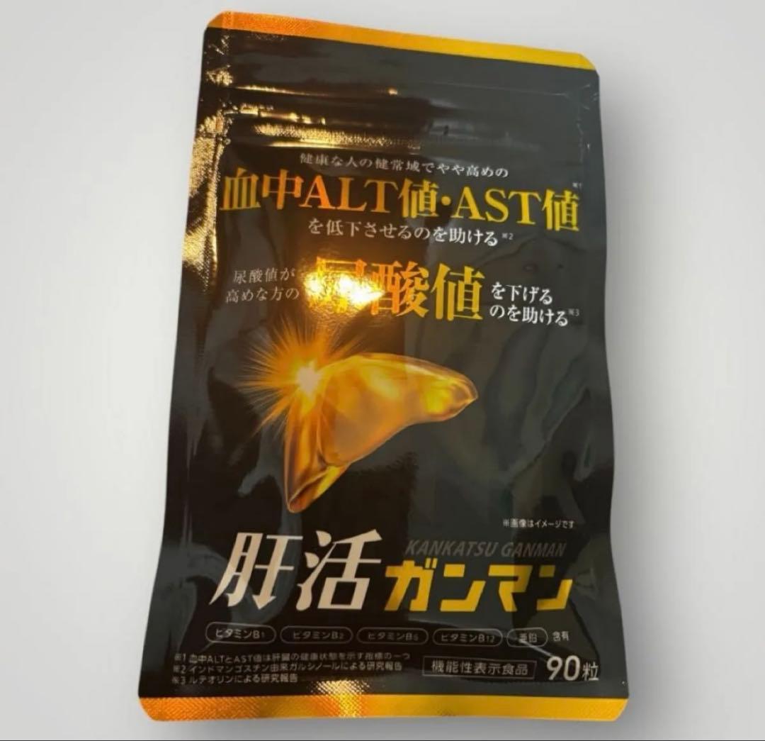 即日発送】肝活ガンマン 90粒 30日分 - メルカリ