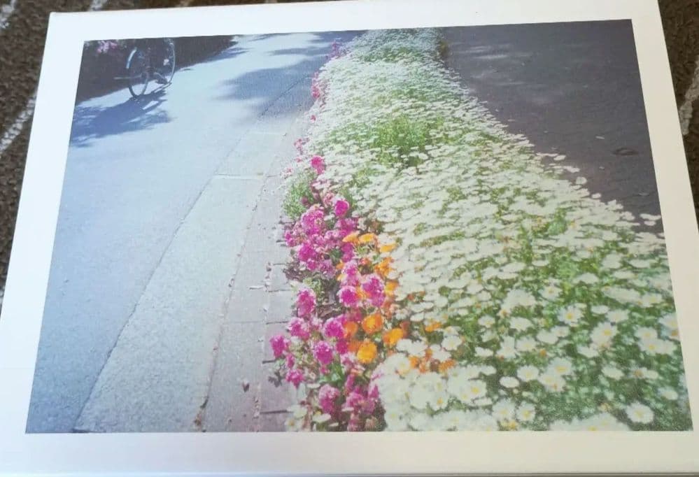 いちばんすきな花DVDBOX DVD]いちばんすきな花 ディレクターズカット版 DVD-BOX いちばんすきな