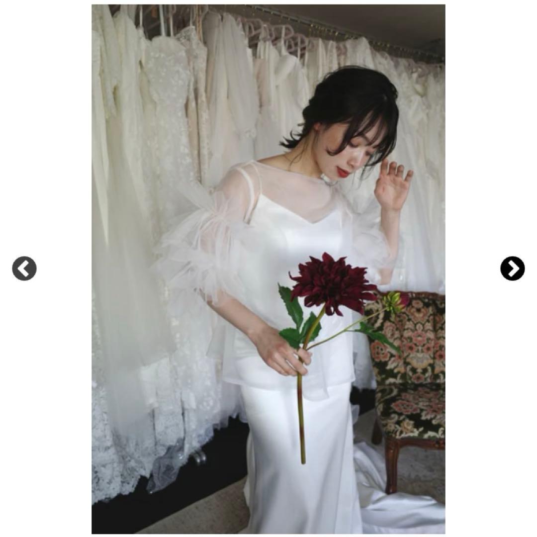 ドレスプロダクション フリルスリーブ トップス (W308) 人気上昇！オフ