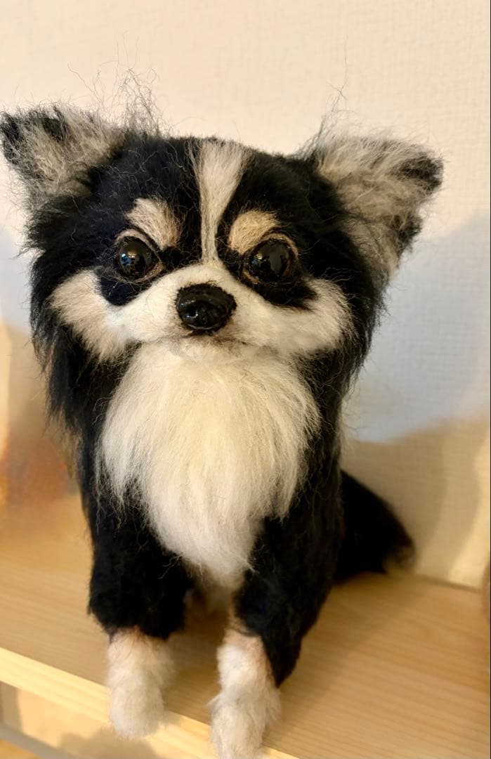 羊毛フェルト チワワちゃん ブラックタン - メルカリ