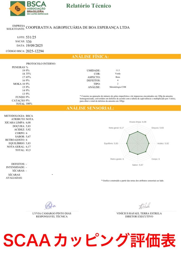 keiji様専用】【コーヒー生豆】ブラジル イリニシア産 No.2 5kg - メルカリ