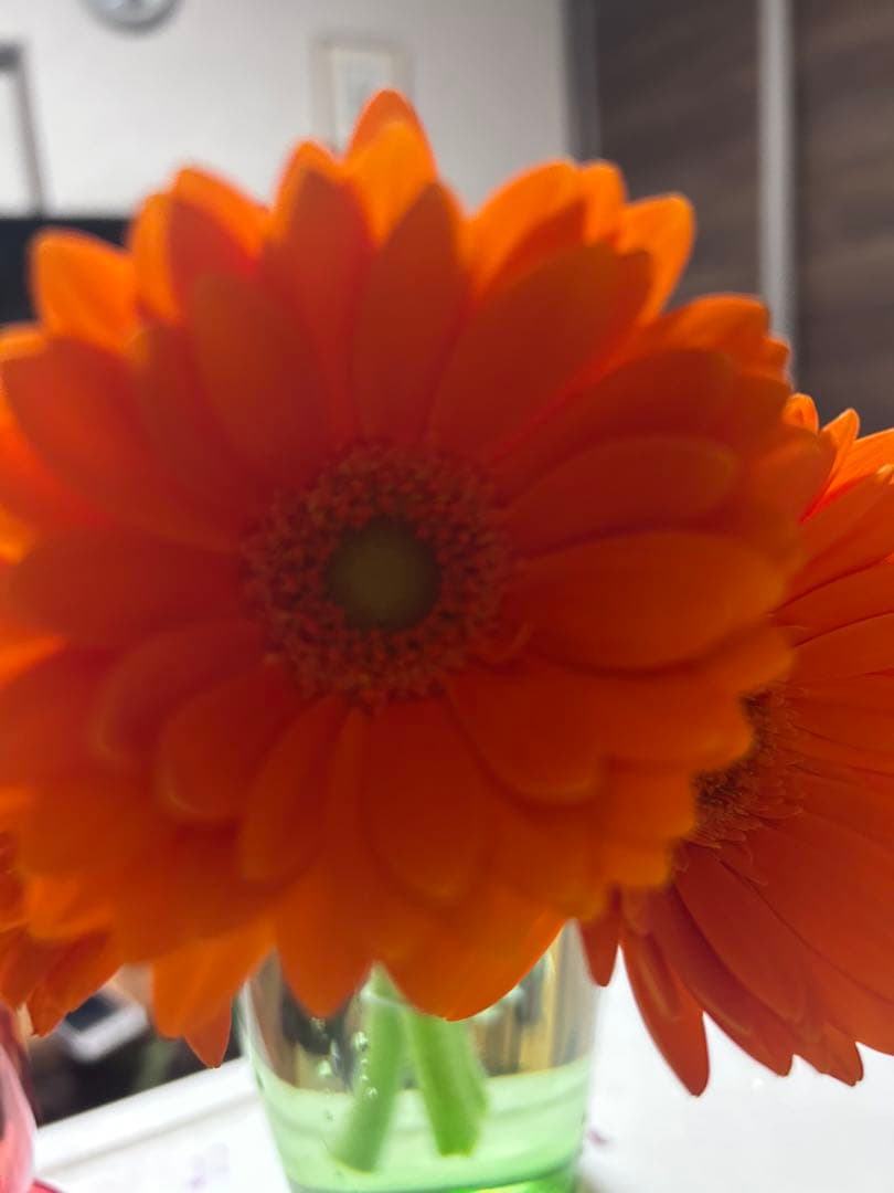 暦ページ BZ（ビズ）カレンダー / TD-950（2026年） | カレンダー専門店【暦や